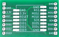 RA-01 / RA-02 Pinout